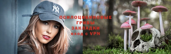мдпв Беломорск